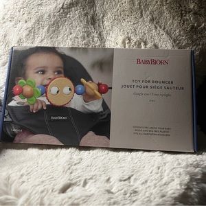 NIB Baby Bjorn Google Eye Toy for Bouncer